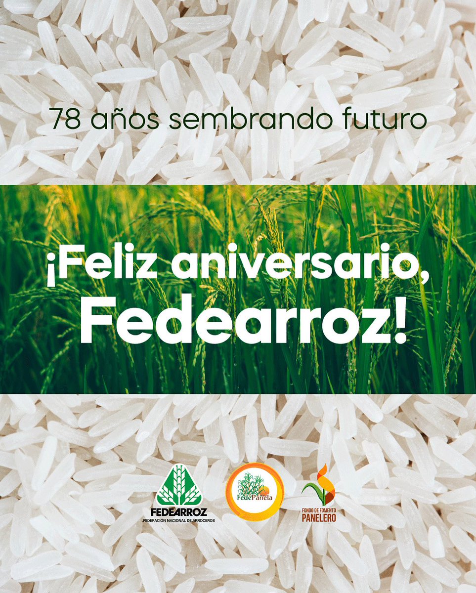 ¡Felices 78 años, <a href="/FEDEARROZGREMIO/">FEDEARROZ</a> !

Hoy celebramos su historia cultivada con esfuerzo, innovación y compromiso con los arroceros del país.

Desde Fedepanela nos unimos al festejo y agradecemos el trabajo conjunto por un agro más fuerte, más justo y más sostenible.
