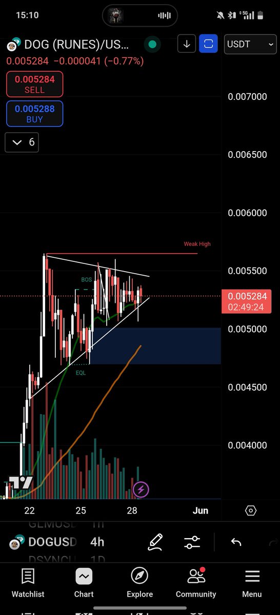 DCloosterman's tweet photo. Almost time for next leg up 🤤🤫

$dog
@LeonidasNFT  
@DOGTOTHEM00N https://t.co/bAzCcK8y6n