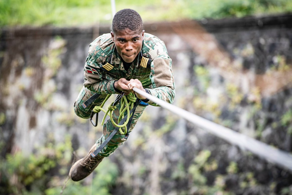 33e RIMa tweet media