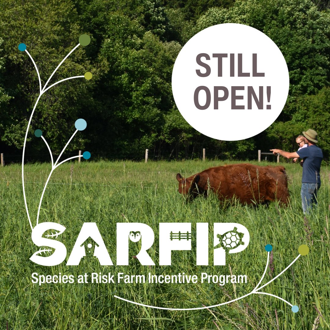 OntarioSoilCrop's tweet photo. Don’t forget — the #SARFIP intake is OPEN… but only while funds are available.
Eligible farmers can access up to $20,000 per project in cost-share funding to help protect species at risk.
Apply today or learn more: https://t.co/4imMW11pp7
#OntAg #OntarioSoilCrop https://t.co/EBFwUMY4cq