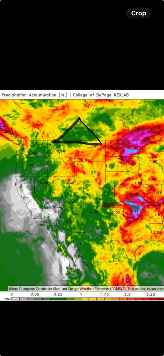 tpotwilson's tweet photo. Forcast rainfall for the next 2 weeks
After quick relief last week the force is gaining strength again
#palliserproblems https://t.co/yCgSHHkNG3