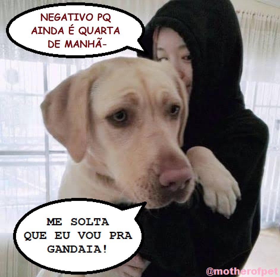 #quartou
