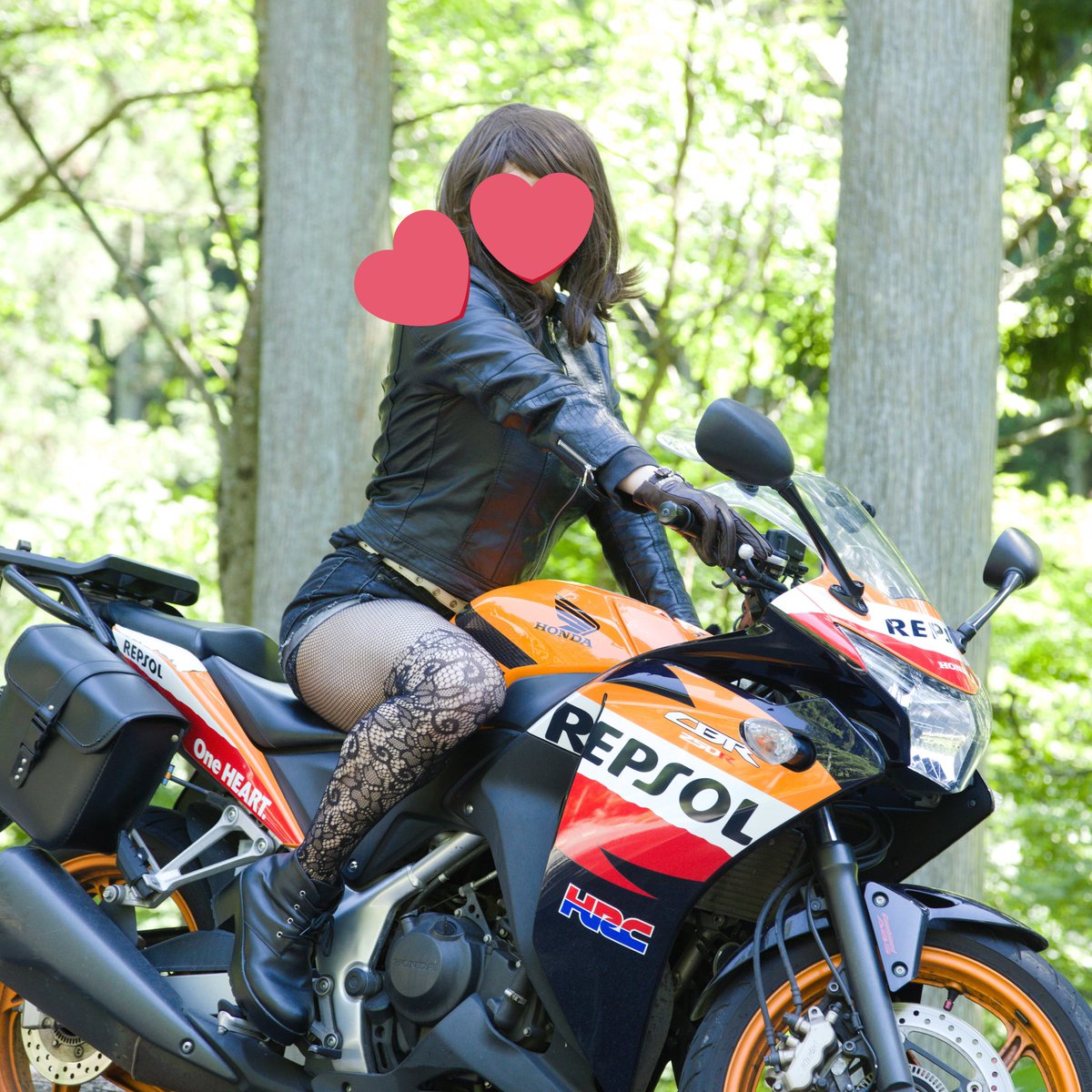 しいたけ2 tweet media