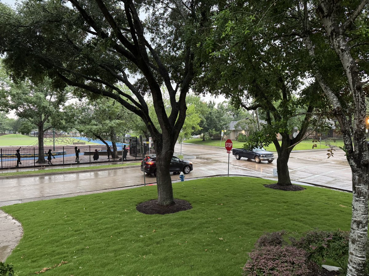 Rebecca Kortum tweet media