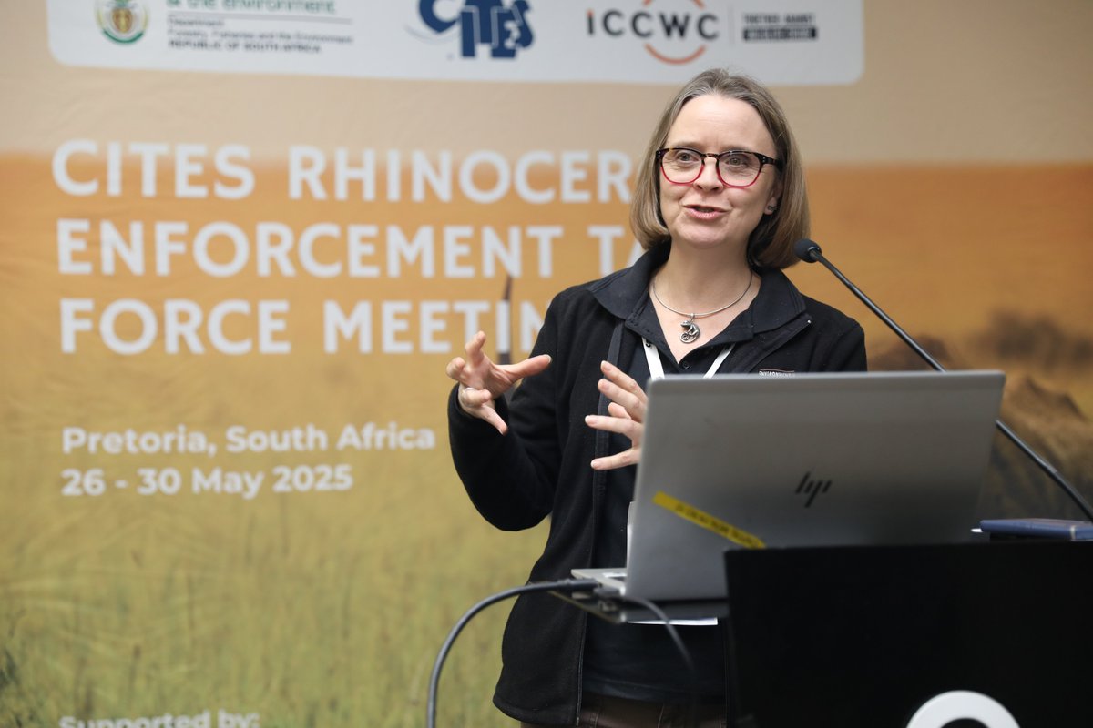 environmentza's tweet image. DFFE’s Chief Director for Sector Enforcement, Ms Frances Craigie is currently delivering a presentation on the importance and value of rhino horn sample collection on Day 3 of the @CITES Rhinoceros Enforcement Task Force Meeting. 

#NotOnOurWatch #RhinoConservation