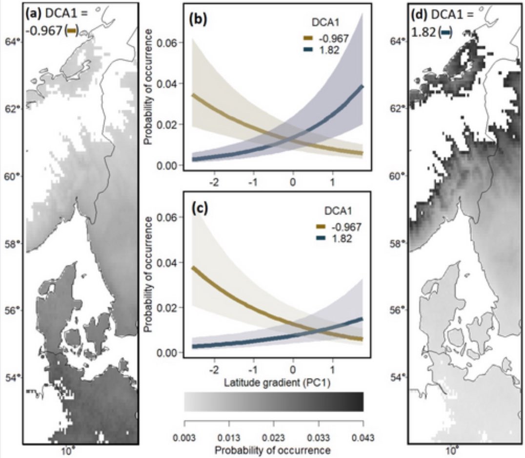consbiog's tweet image. Did you know that the distribution of wild bee species along a latitudinal gradient in Northern Europe depends on their #flower preferences? 🐝🪻
To read more: doi.org/10.1111/ddi.70…
#pollinators #bees #functionaldiversity