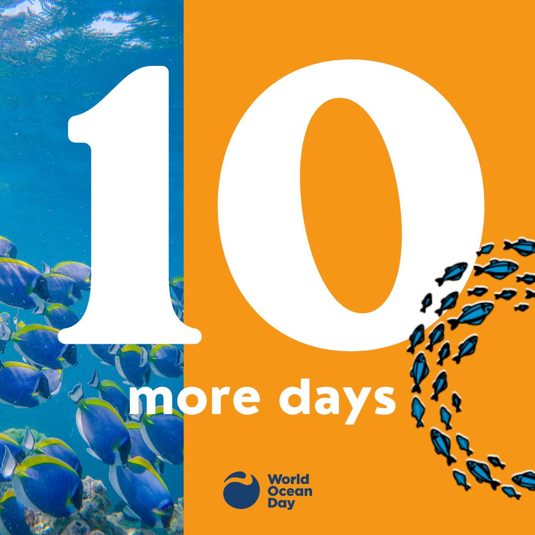 The countdown begins! How are you getting ready to celebrate? Share your plans and tag us—we can’t wait to see what you’re up to! 

#WorldOceanDay