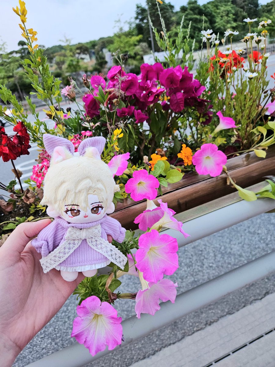 오늘의 운동메이트 채율이🍒
#베베한_티타임
#에_밀뤠솜
#옷장에_해님이_반짝