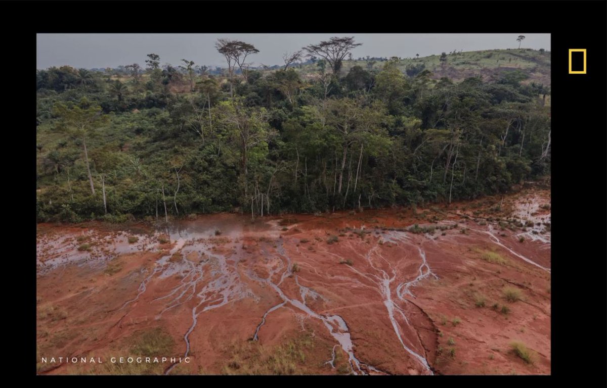 InfoNile (@infonile) on Twitter photo Photography provides visual evidence, whistleblows on whats happening on the ground/grassroots communities to key stakeholders like governments and policy makers.
<a href="/GuerchomNdebo/">Guerchom Ndebo</a>
<a href="/NatGeo/">National Geographic</a>
#SciWednesdays Photography provides visual evidence, whistleblows on whats happening on the ground/grassroots communities to key stakeholders like governments and policy makers.
<a href="/GuerchomNdebo/">Guerchom Ndebo</a>
<a href="/NatGeo/">National Geographic</a>
#SciWednesdays
