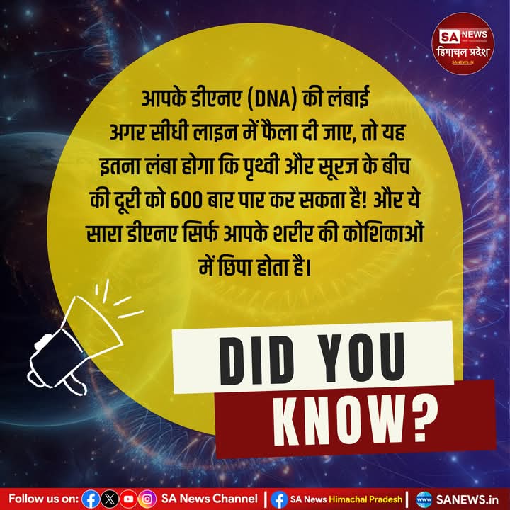 sanewshimachal's tweet photo. "आपके शरीर का DNA इतना लंबा है कि धरती और सूरज के बीच की दूरी को 600 बार पार कर सकता है!"
#interestingfacts #sciencefacts #factsyoudidntknow #dnafacts #factsdaily #sanewshimachalpradesh https://t.co/EmXtFBWYIP