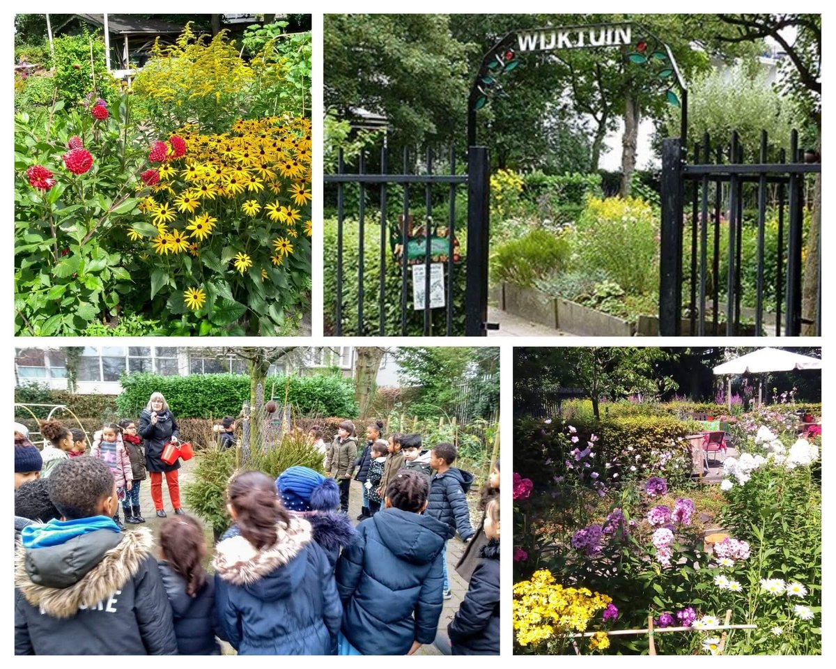 Zaterdag 31 mei in Wijkpark Het Oude Westen vanaf 13.00 uur de #PLANTENRUILMARKT (achterin het park bij de Wijktuin). Meer informatie op de website van de GROENE UITAGENDA 📲: degroeneagenda.nl/site/event/pla… 🌱.
