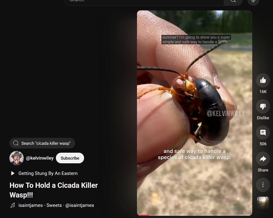 RabeccaDuck's tweet photo. OKAY. so I actually super appreciate this here for desktop. Now I can actually see the text being used and can turn off the auto subtitles which are often incorrect. https://t.co/3mVUJuAw7u