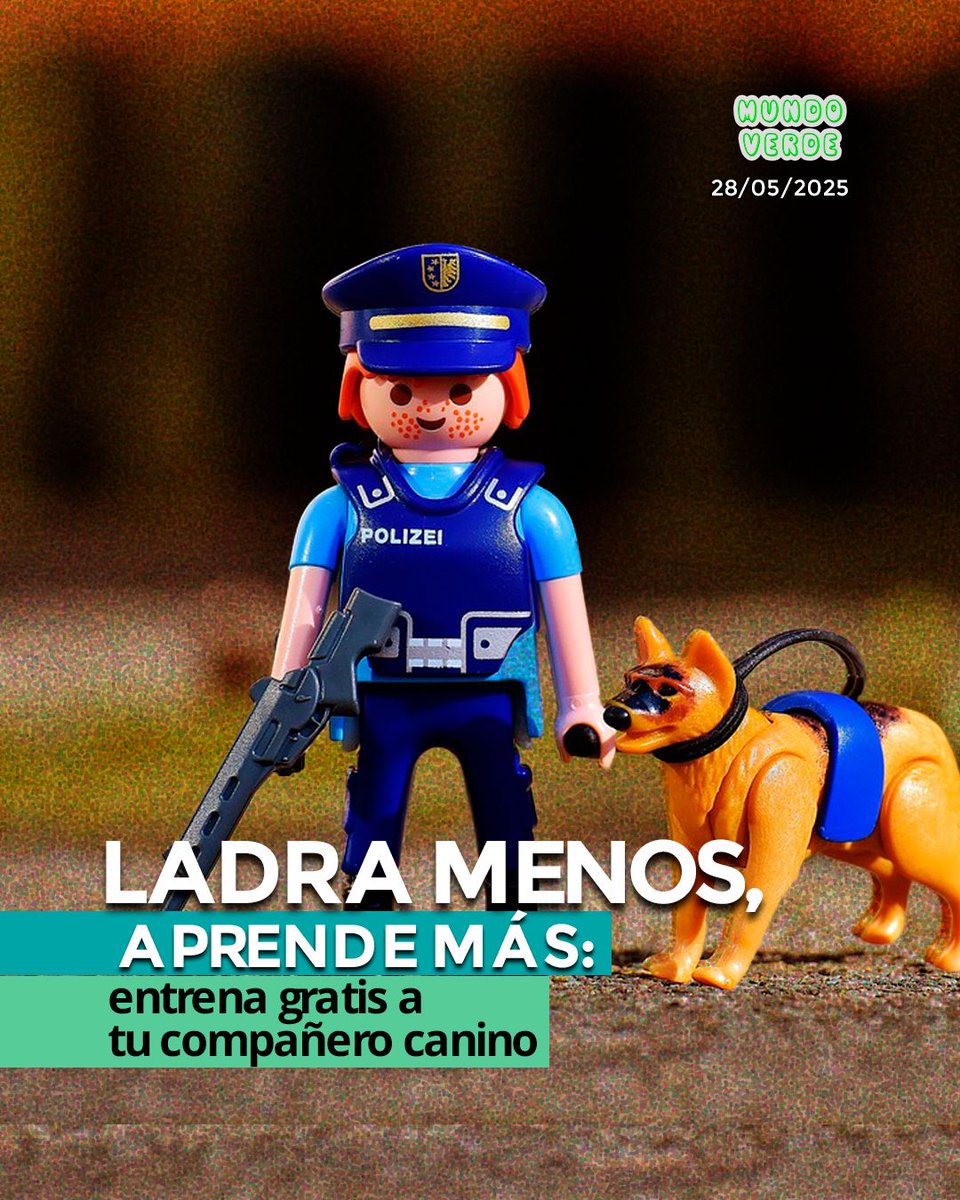 piensalo_verde's tweet photo. 📢 ¡Curso GRATIS de #AdiestramientoCanino! 🐶
Inscripciones: 28 y 29 de mayo en 👉 https://t.co/kOBwmvuSkj
Curso: del 7 de junio al 5 de julio (sábados, 09h00–12h00)
Requisitos: vacunas, microchip y entre 8 meses y 2 años de edad
 #MundoVerde #PeriodismoAmbiental #NoticiasVerdes https://t.co/XoM8HKpxuc