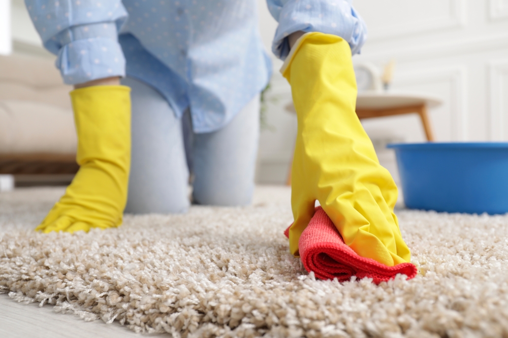 GleamingIns's tweet photo. Do you offer carpet cleaning services to your clients? If so, its essential to have the correct insurance cover in place. We provide cover such as 'damage to property worked on' and 'treatment risks'.

Get your quote today.

https://t.co/97CpDMXh52

#cleaninginsurance #cleaner https://t.co/uentHLkjCA