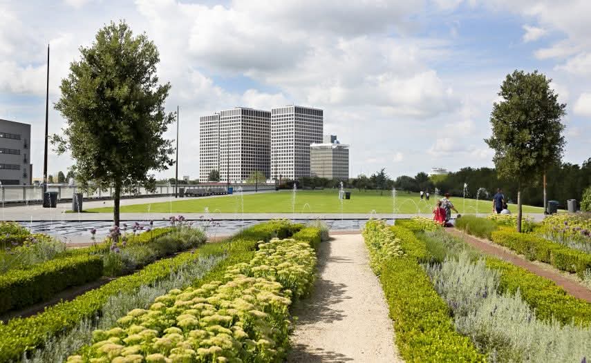 Zaterdag 31 mei, 12.30 uur rondleiding over 't <a href="/dakpark/">Stichting Dakpark</a> Rotterdam in <a href="/BospolderT/">BospolderTussendijken</a>-ussendijken. Meer informatie en aanmelden via de GROENE UITAGENDA 📲: degroeneagenda.nl/site/event/dak… 🌱. Wil je meer weten over 't Dakpark? Ga mee met deze (gratis) rondleiding.