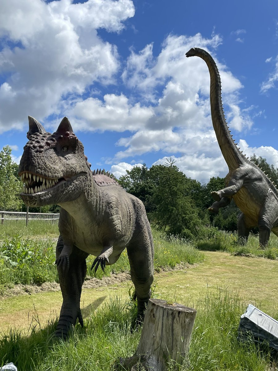 Playing with dinosaurs today
#writer #writerslife #writingcommunity