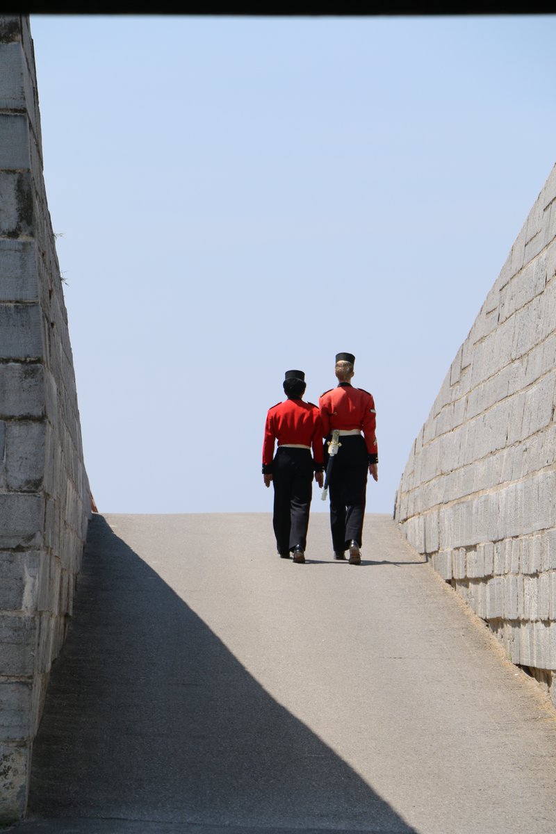 🎟️ Love Fort Henry? A Season Pass is just $50 - less than 3 visits!
✅ Unlimited summer access
🛍️ 15% off retail
🏰 Tours, cannon fire, music &amp; more
📅 May–Sept
🔗 Learn more: forthenry.com
#SeasonPass #ExploreOntario #HistoricKingston #SmartTravel #LivingHistory
