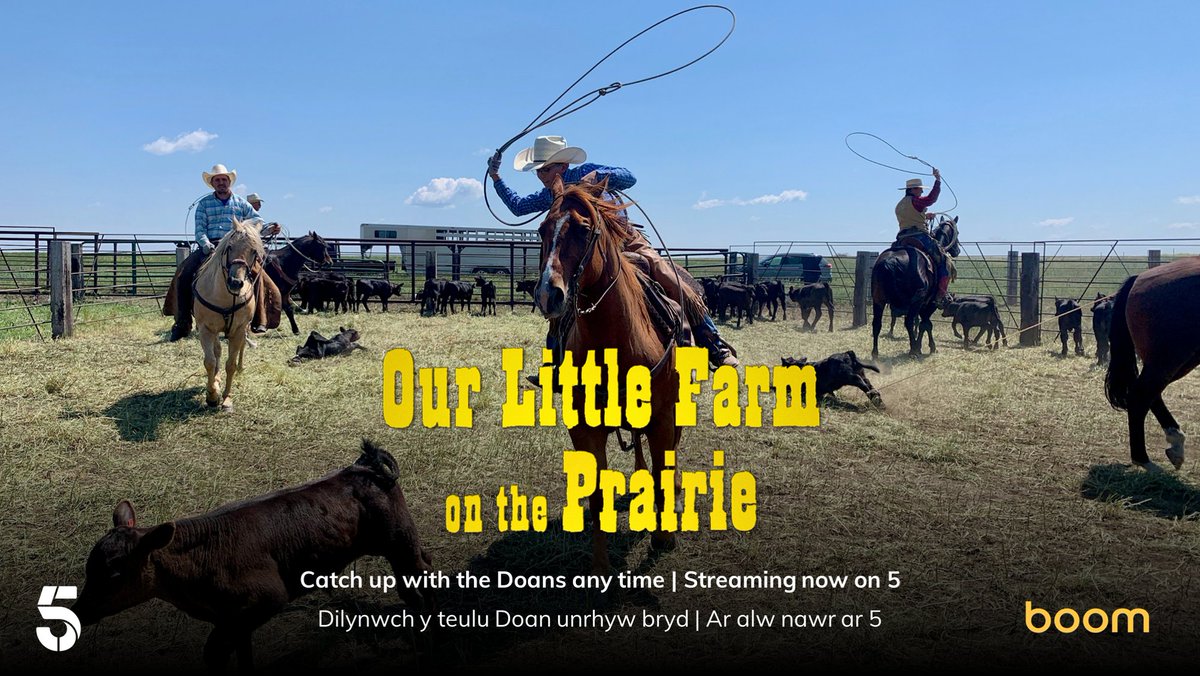Watch the amazing tales of life on the Doan family farm on 5. It's all here, from a traditional rodeo to cattle-branding time and a visit to a ghost town, side by side with concern about legacy, the future and the effects of climate change. 
Hanes teulu fferm ar y paith yn UDA.