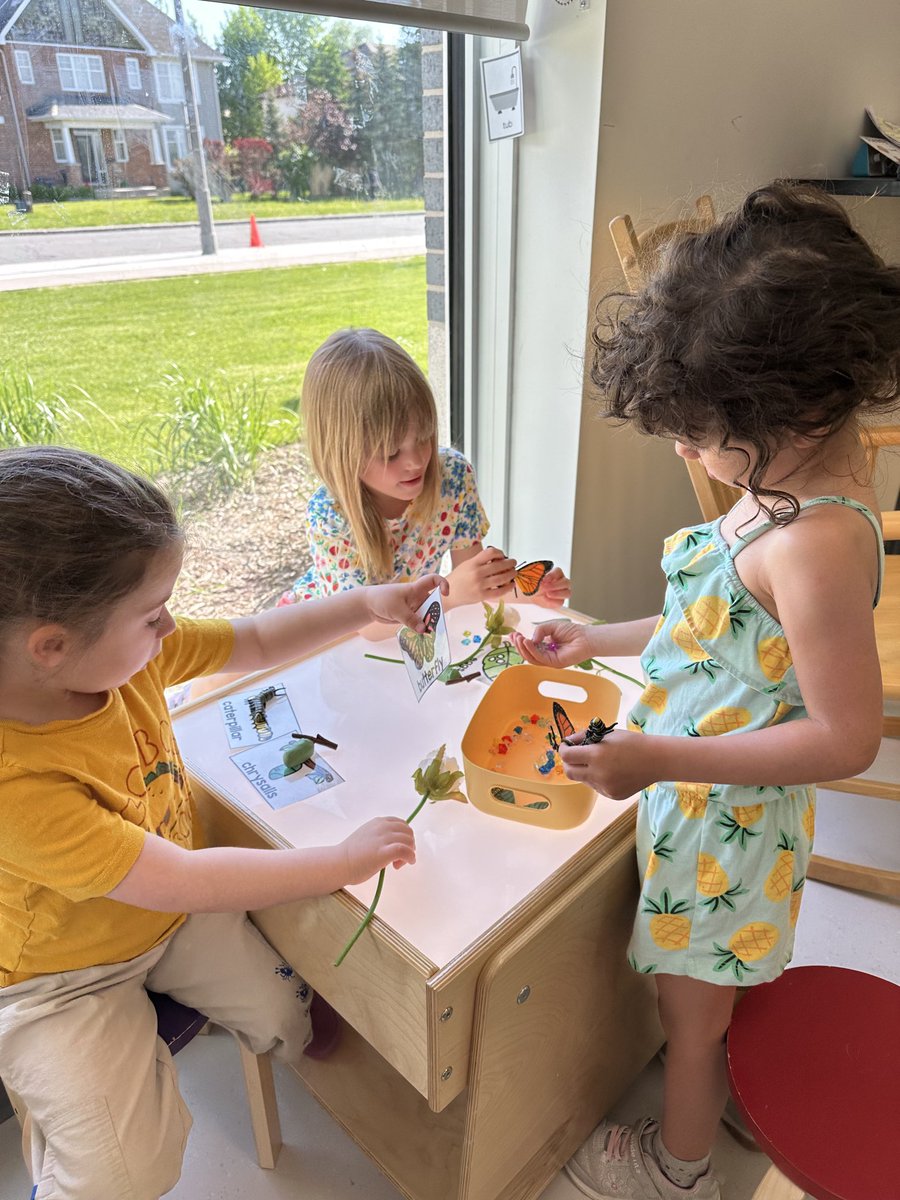 Talking about the stages of the life cycle of a butterfly🐛🦋⁦<a href="/StVeronicaOCSB/">St. Veronica OCSB</a>⁩