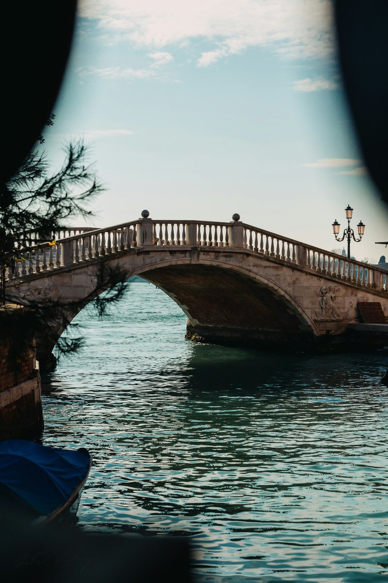 Must Srl tweet media