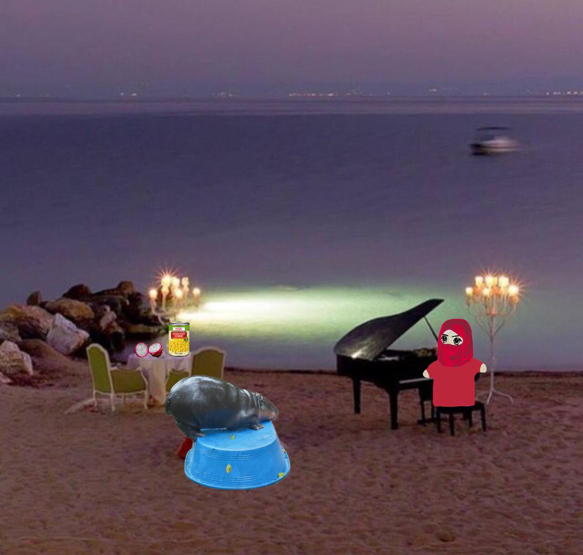 kook 🏝️ tweet media