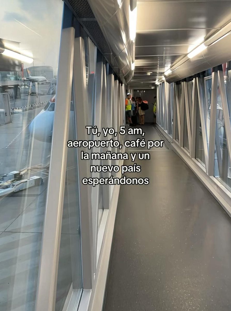 MireilleGuzman's tweet image. 