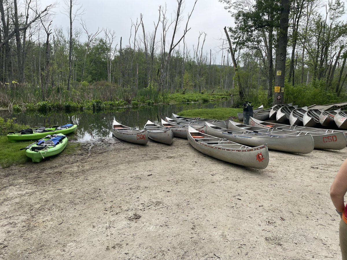 MPESphysicaleducation tweet media