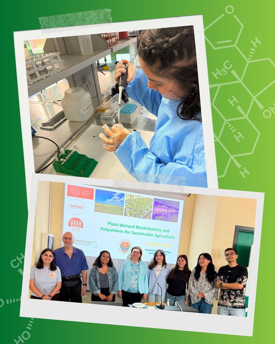Master PlantHealth (@mscplanthealth) on Twitter photo ๐ฎ๐น๐จ๐ปโ๐ฌ Students at the University of Padua (UNIPD) โ Where Science Meets Sustainability! ๐ฉ๐ฝโ๐ฌ๐ฎ๐น
These experiences prepare future experts to address global issues in plant health and food security๐
#planthealth #erasmusmundus #planthealthmaster
#europeanmaster #education #masters ๐ฎ๐น๐จ๐ปโ๐ฌ Students at the University of Padua (UNIPD) โ Where Science Meets Sustainability! ๐ฉ๐ฝโ๐ฌ๐ฎ๐น
These experiences prepare future experts to address global issues in plant health and food security๐
#planthealth #erasmusmundus #planthealthmaster
#europeanmaster #education #masters