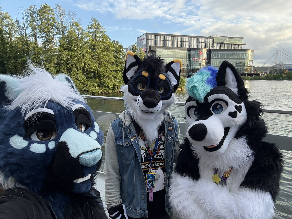 Frosty💙🩵 tweet media