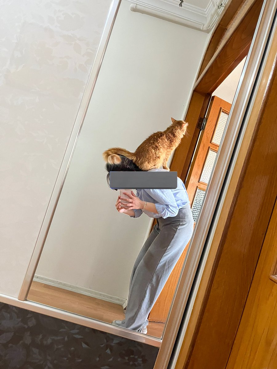 Külem bini ofişte gezdirimken