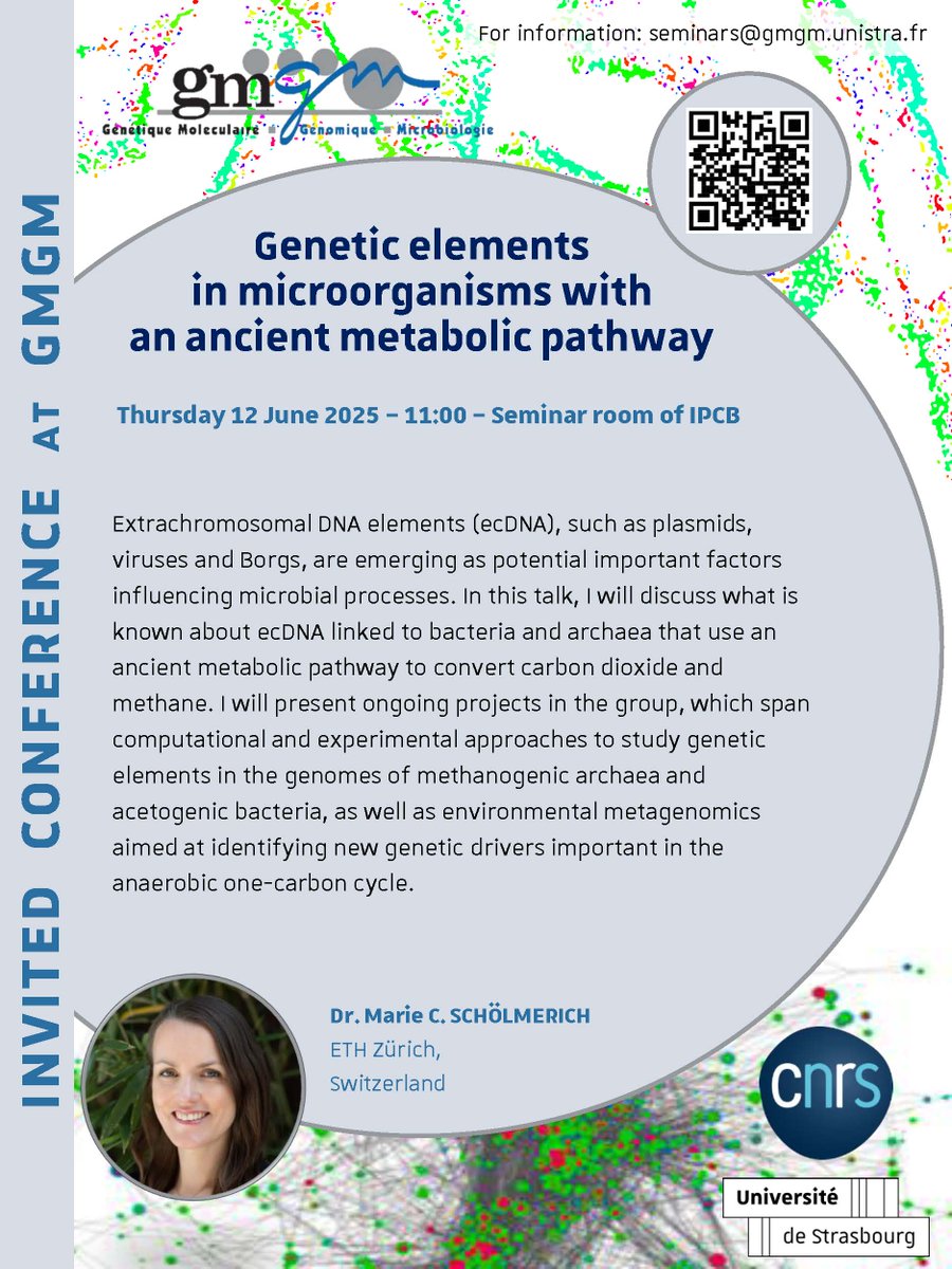Laboratoire GMGM (@gmgmlab) on Twitter photo 