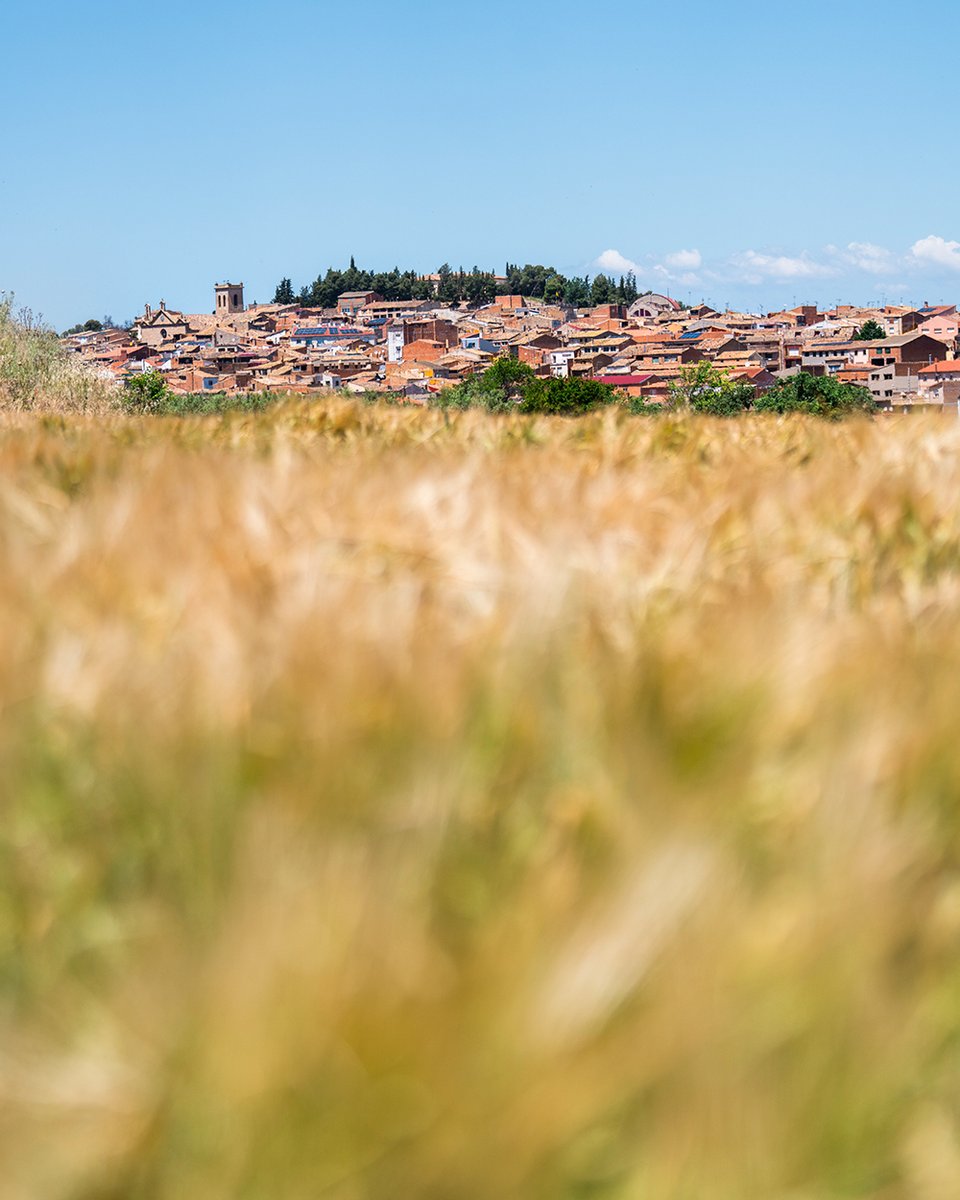 cooparbequina's tweet photo. Bona collita, bon paisatge i millor poble. 🌾
Es pot tenir algo més a la vida? 😜 https://t.co/vBwGW7aD8C