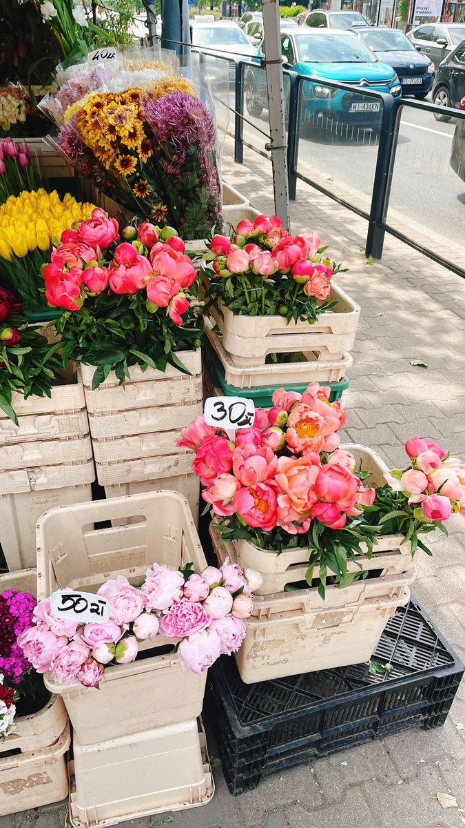 дивіться які квіти гарні