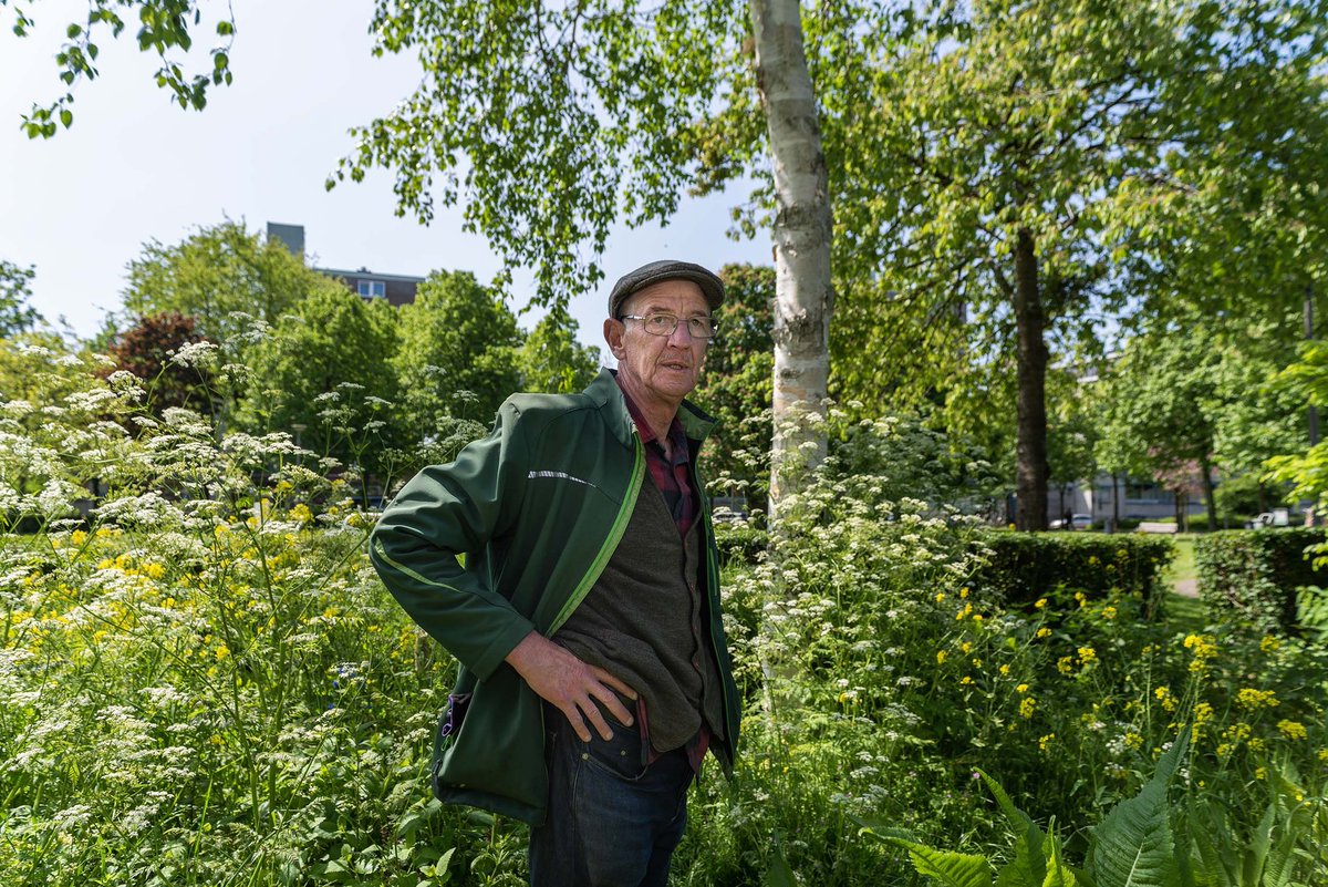 Laatste kans in de #Parkenmaand: 'Stadsgeneeskunde in de Praktijk’ Tour door Park 1943 in <a href="/BospolderT/">BospolderTussendijken</a>-ussendijken met stadsdokter <a href="/rinibiemans/">Rini Biemans</a>: vrijdag 30 mei (10.00 uur Park 1943 ). Lees er meer over  op 📲: parkenmaand.nl 🌳 (gratis en aanmelden niet nodig).