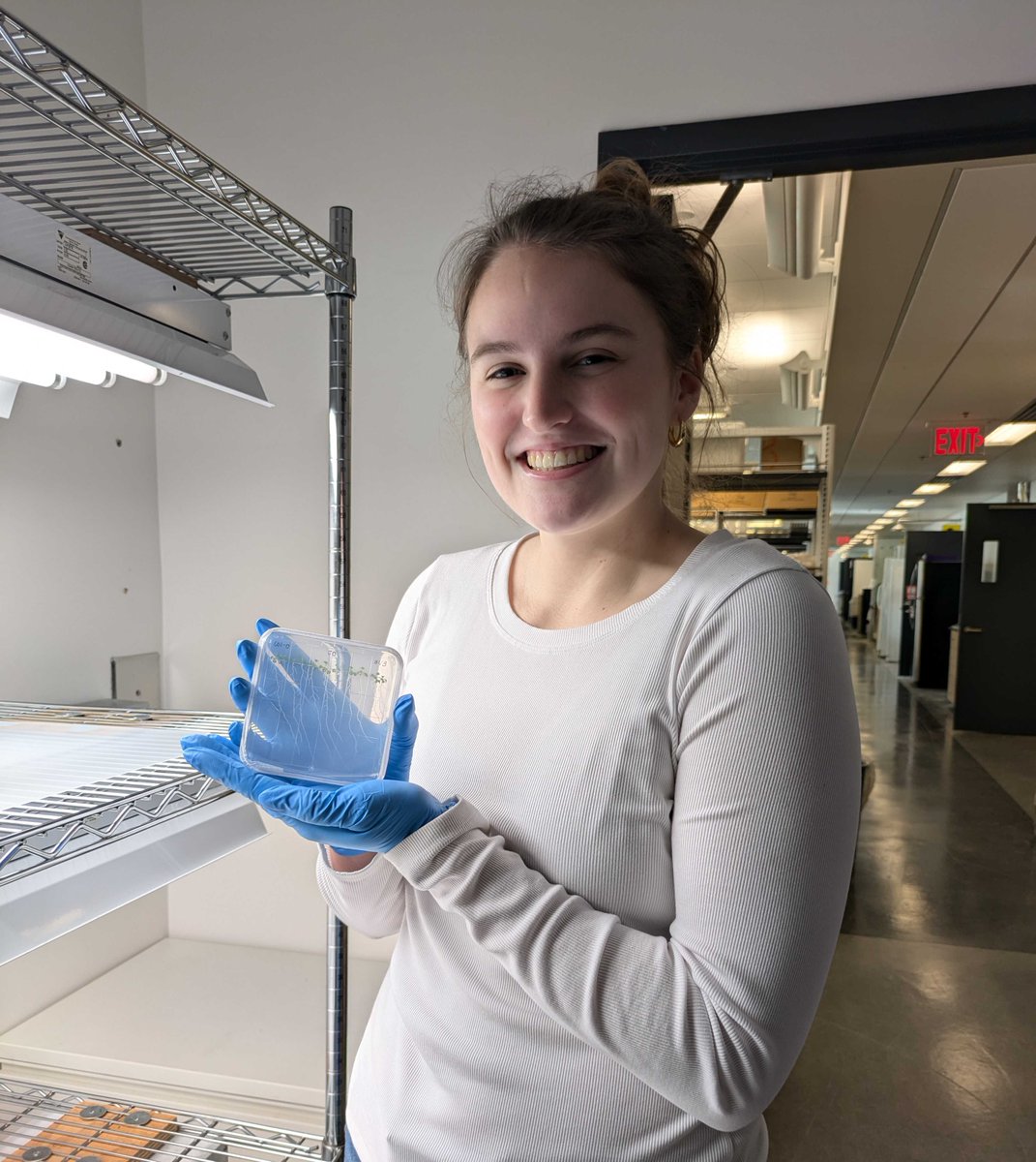 aribidopsis's tweet photo. Early morning email of PAPER ACCEPTANCE while attending the conference! 

Congratulations to Olivia @corylus_L  and Jessica @Jessicaa_Orr 🎉🍀🔬

Looking forward to sharing as soon as it is online! https://t.co/HRVxmCSrR8