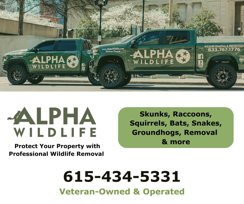 🐾 Shoutout to BBB Accredited Alpha Wildlife! This veteran-owned team offers trusted removal of raccoons, snakes, bats &amp; more.

#BBBAccredited #WildlifeRemoval #VeteranOwned #SupportLocal