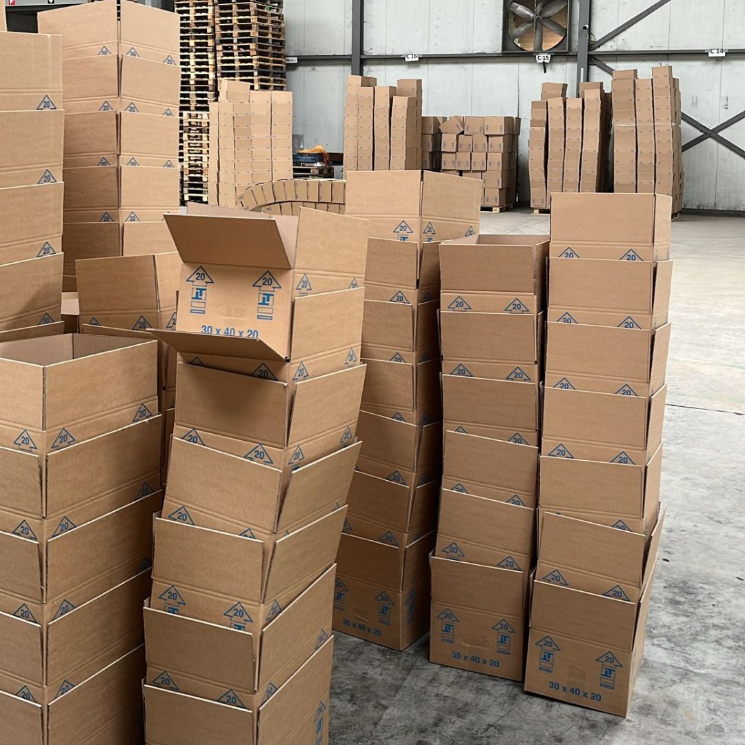 FlevoTrade Onions, Grading & Packaging tweet media
