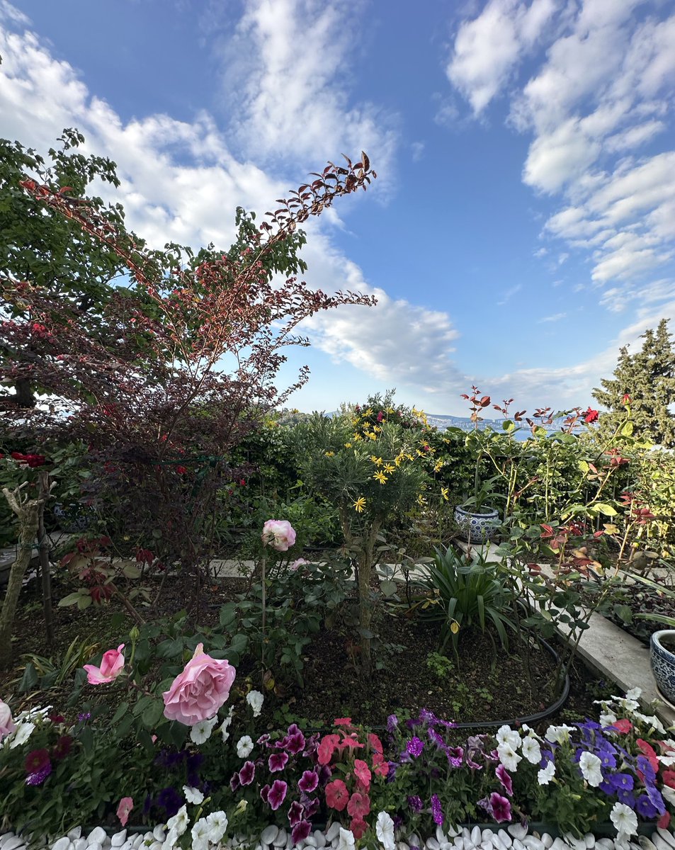 #YAŞAMNEDİR ?

Bakış açınızı değiştirdiğinizde, baktığınız şeyler değişir.
Max Planck

Uçuruma baktığınızda uçurum da size bakar. 
Nietzsche

Gözlemci ile gözlenen arasında bir bağlantı vardır.
John Wheeler

Varoluş çabası “karşılaşmalar” üzerine kurulur.
Spinoza

Her şey, her