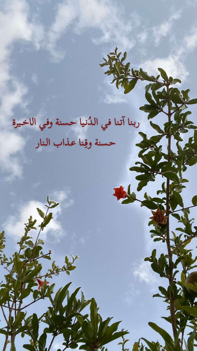 Mycloud1998 tweet picture