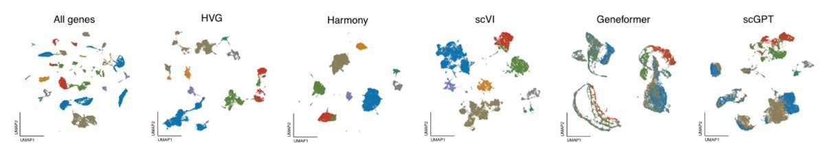 Ava Amini (@avapamini) on Twitter photo How well do single-cell foundation models perform w/o finetuning?
Our work <a href="/GenomeBiology/">Genome Biology</a> shows that in zero-shot settings, scGPT and Geneformer often underperform traditional methods, raising questions about their utility for biological discovery.
📰 genomebiology.biomedcentral.com/articles/10.11… How well do single-cell foundation models perform w/o finetuning?
Our work <a href="/GenomeBiology/">Genome Biology</a> shows that in zero-shot settings, scGPT and Geneformer often underperform traditional methods, raising questions about their utility for biological discovery.
📰 genomebiology.biomedcentral.com/articles/10.11…
