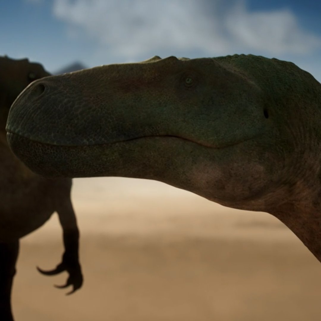 Nem tudo são flores. 

O último episódio de Walking With Dinosaurs (2025) foi  frustrante. O único que se passa durante o  Jurássico e eles entregaram apenas DUAS ESPÉCIES de dinossauros ao longo de tediosos 48minutos compostos principalmente por conversa-fiada. 

Uma pena...