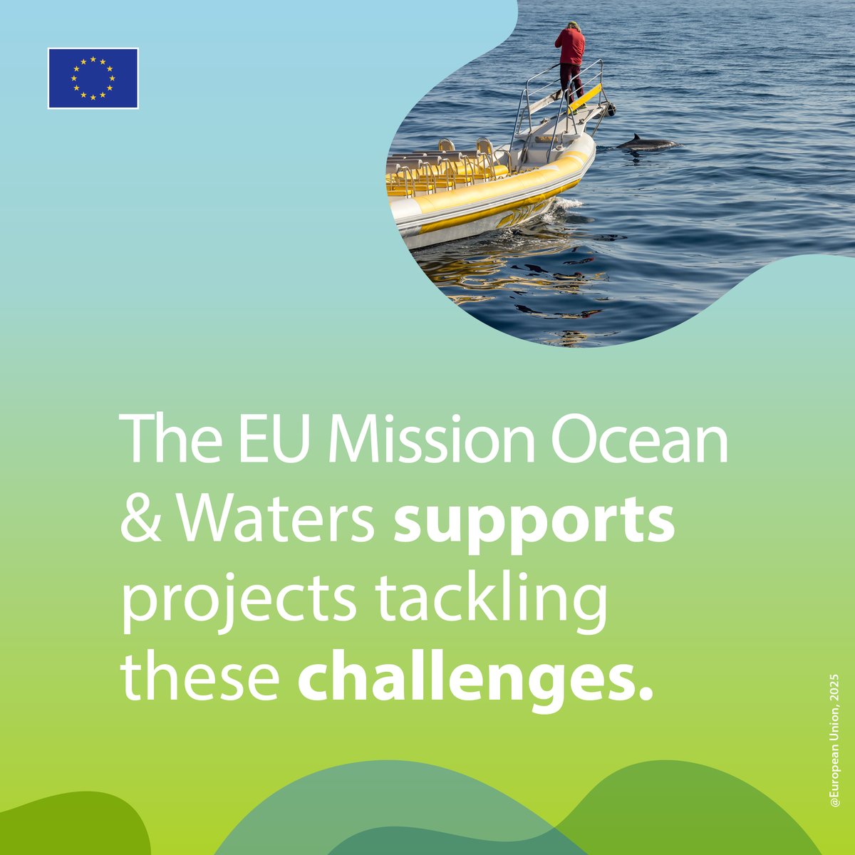 Mission Ocean Waters (@ourmissionocean) on Twitter photo 🌊🌎 On #WorldEnvironmentDay, our seas need concrete actions to ensure a better future. 💪
That's why #MissionOcean & Waters projects are already working to restore and protect marine environments.
Learn more 👉 tinyurl.com/5n88dv4d
@Cinea_EU <a href="/EUScienceInnov/">EU Science & Innovation 🇪🇺</a> <a href="/EU_MARE/">EU Maritime & Fish</a> 🌊🌎 On #WorldEnvironmentDay, our seas need concrete actions to ensure a better future. 💪
That's why #MissionOcean & Waters projects are already working to restore and protect marine environments.
Learn more 👉 tinyurl.com/5n88dv4d
@Cinea_EU <a href="/EUScienceInnov/">EU Science & Innovation 🇪🇺</a> <a href="/EU_MARE/">EU Maritime & Fish</a>