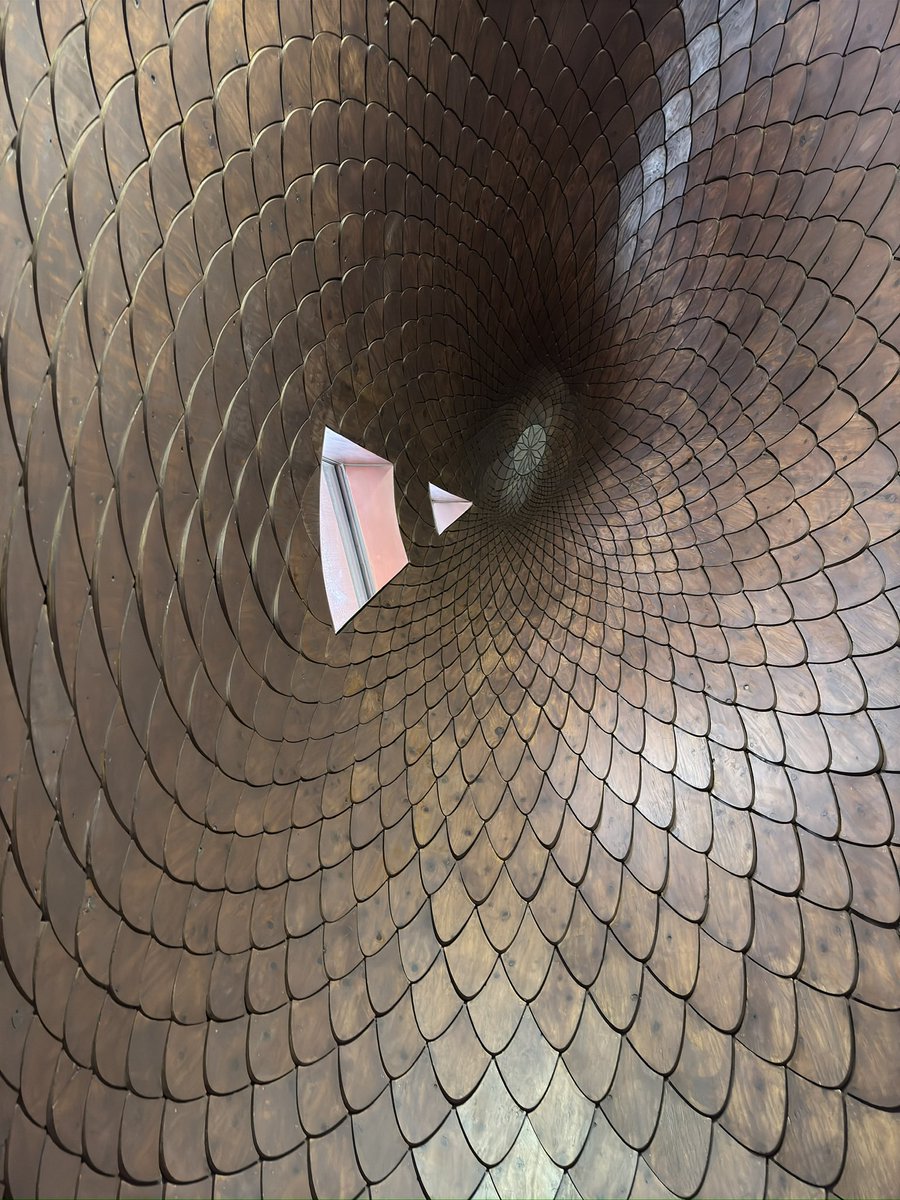 角田大輔 / Daisuke Tsunoda tweet media