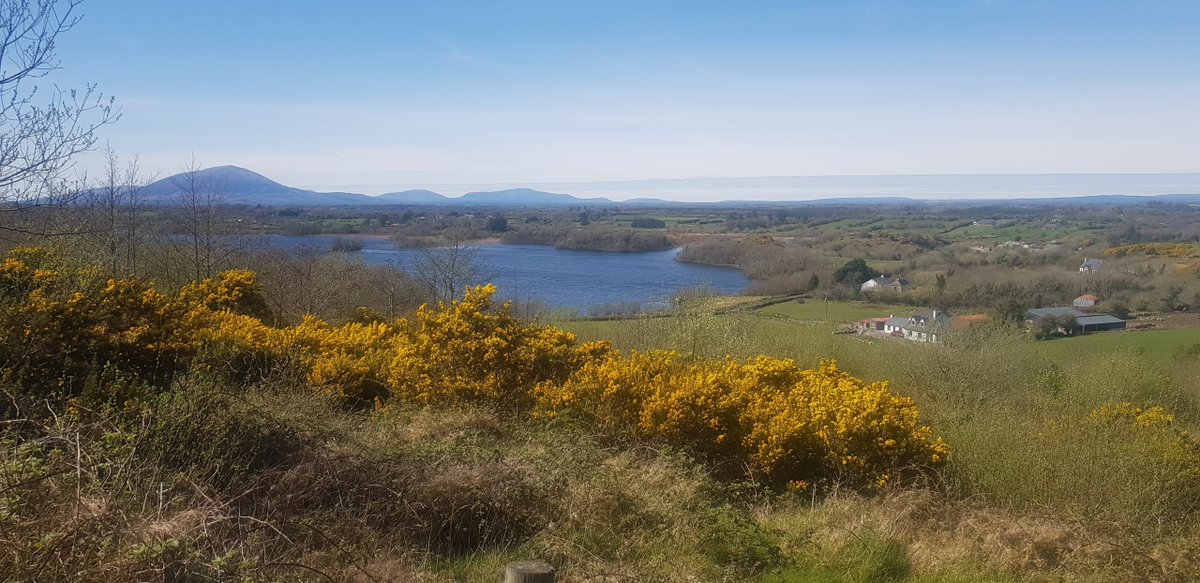 Attymass in Irish Áit Tí an Mheasaigh is a picturesque village in north Mayo bound to the east by the Ox Mountains and to the west by the river Moy 🌊
Discover more: northmayo.ie/explore-the-pi…