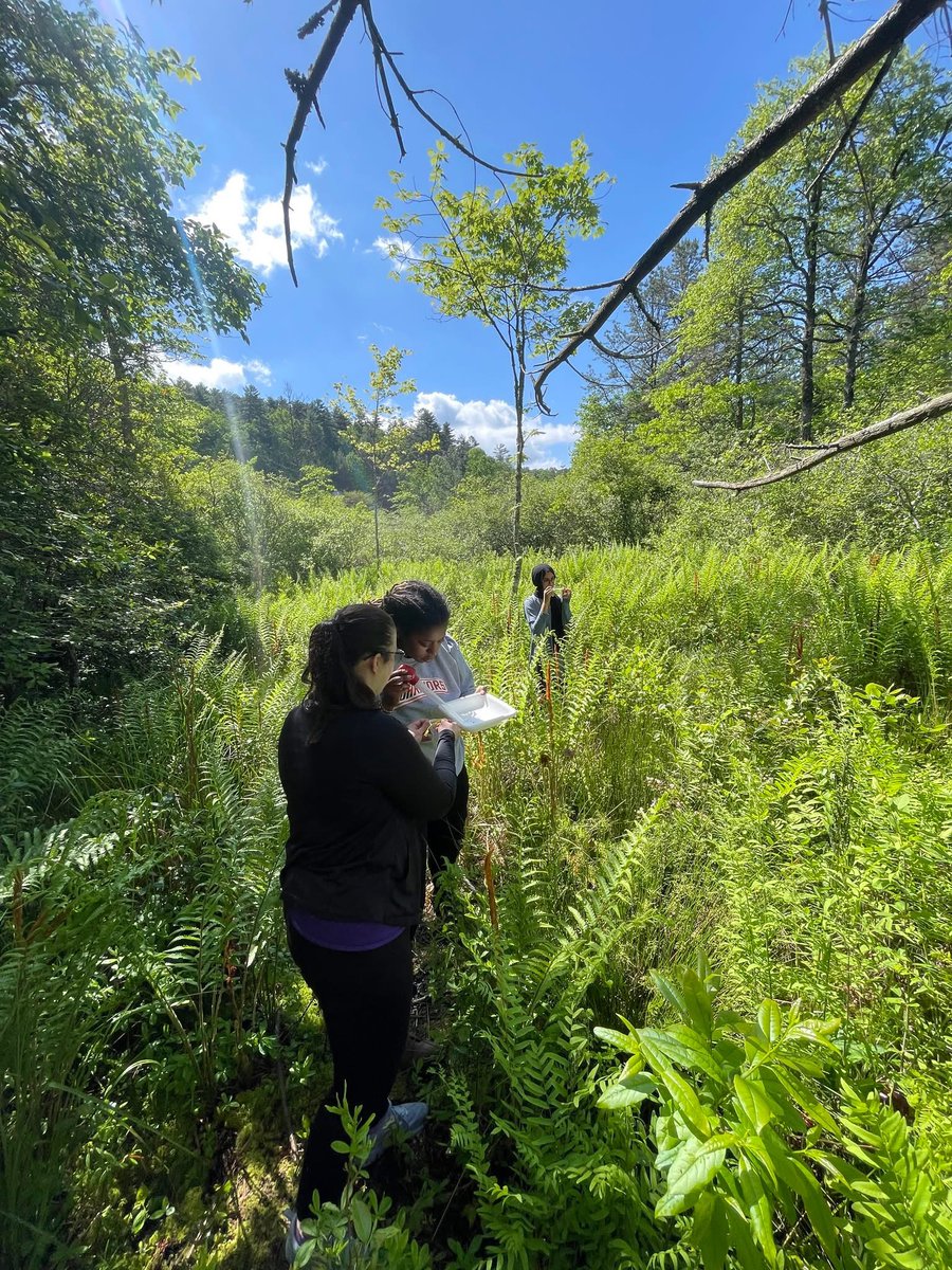 Collaboration and experiential learning! #TheHHPExperience 

Dr. Stephanie Richards and #ECU students were at Highlands Biological Station, teaming with Western Carolina University for a training camp to advance their NIH-supported project.

Full recap ⤵️
hhp.ecu.edu/hhp-news/2025/…