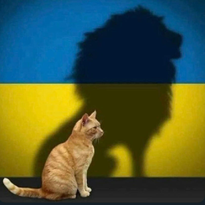 Rock-Rabbit-Studio (PxDemaR) tweet media