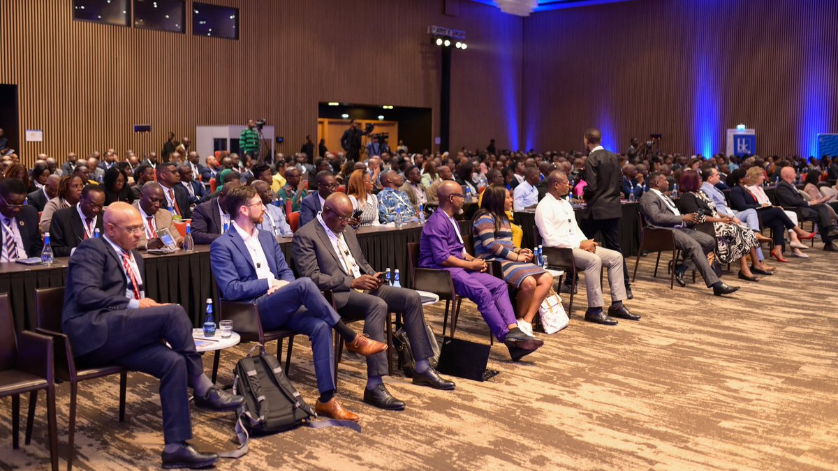 Tito Hare tweet media