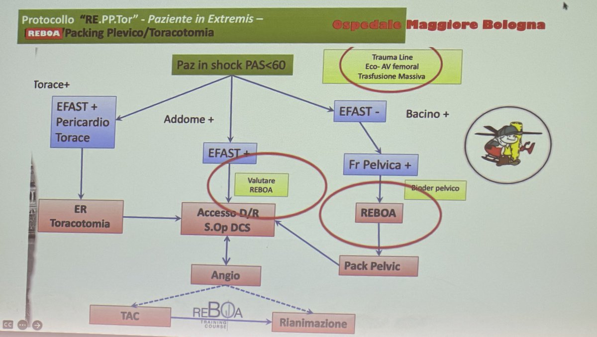 1st Biennale #simeu Bari 28 may 2025

REBOA use via Carlo Coniglio

🔎 Identify

🩸Treat

When REBOA?

🚹 Patient in extremis

🗜️ Non-compressible sites

🌉 Bridge to Pelvic/abdo hemorrhage

Effects

➡️ Stop/ decrease downstream hemorrhage

➡️ Improve heart and brain perfusion