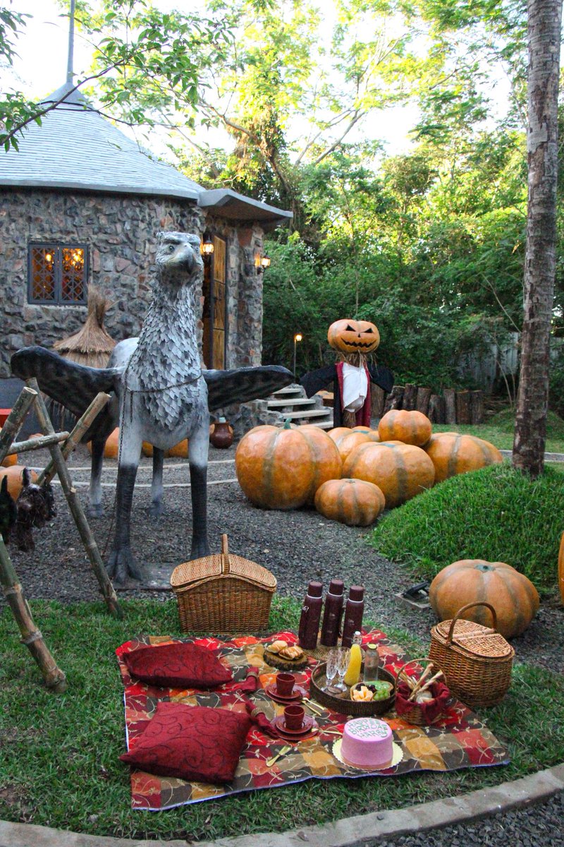 La primera cabaña con temática de Harry Potter en Paraguay 🇵🇾 recrearon la casa de Hagrid en La Colmena, Tenes un jacuzzi, tina dentro de la habitación, un sauna, desayuno incluido y referencias a la saga en todas partes! Increíble 😍👏🏻⚡️🧙🧙‍♂️