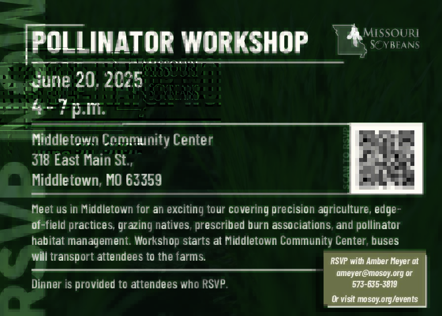missourisoybean's tweet image. Join us June 20 in Middletown, MO for a hands-on Pollinator Workshop covering precision ag, edge-of-field practices, grazing natives, &amp;amp; pollinator habitat management. Proud to partner with the @MDC_online! 🐝 #MOSoy #HabitatManagement #ConservationInAction